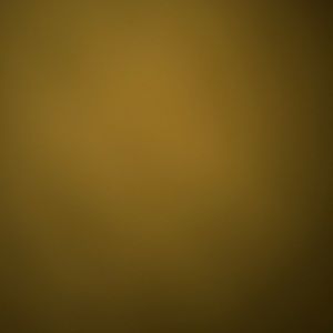 Meet your Posher, Zach