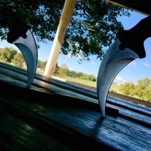 Meet your Posher, Joey