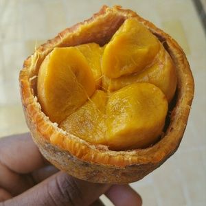 Meet your Posher, Fortune