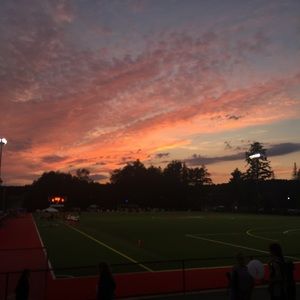 Meet your Posher, Sydney