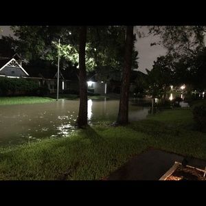 Meet your Posher, Dalton