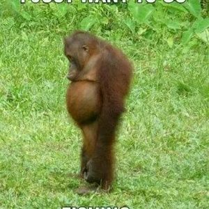 Meet your Posher, Ky