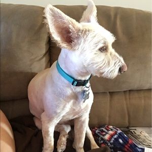 Meet your Posher, Robyn