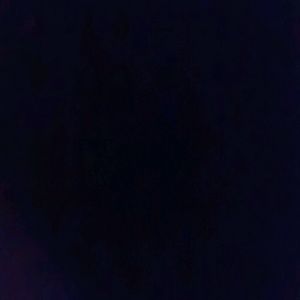 Meet your Posher, Amal