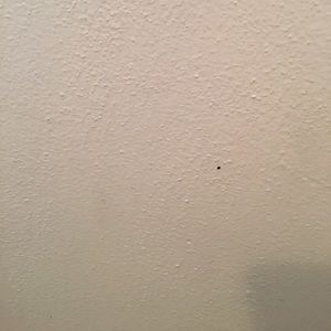 Meet your Posher, Alejandro