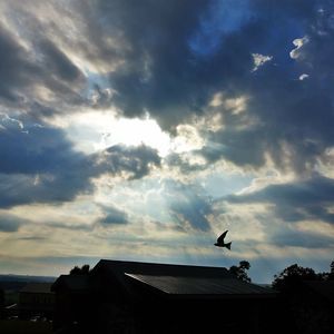 Meet your Posher, Cindy allcox