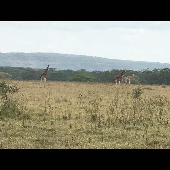 Meet your Posher, Dedtiny - Picture 1 of 1