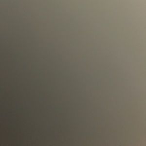 Meet your Posher, Carolina