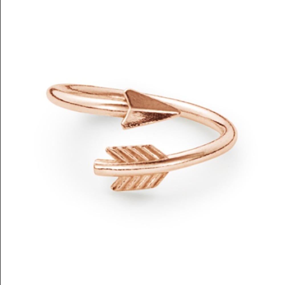 Alex and Ani Eros Arrow Ring