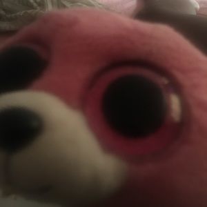 Meet your Posher, Lashana