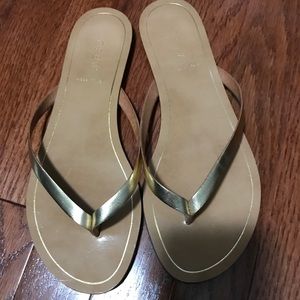 J Crew Thong Sandals