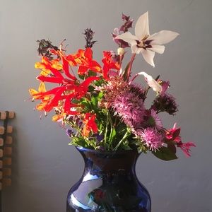 Meet your Posher, Emma