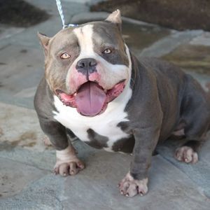 Meet your Posher, Michael