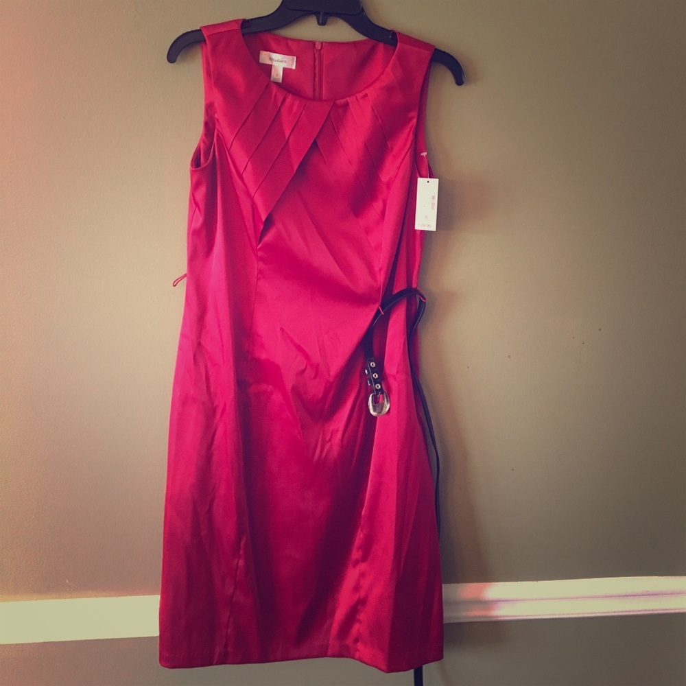 Dress barn Dress