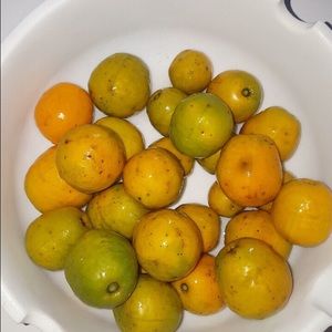 Meet your Posher, Angie