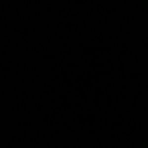 Meet your Posher, Marlene