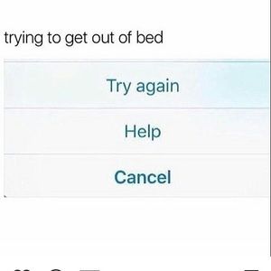 Meet your Posher, Jake