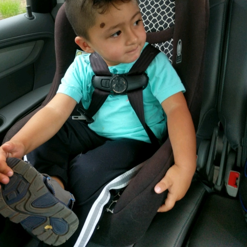 Meet your Posher, Joy