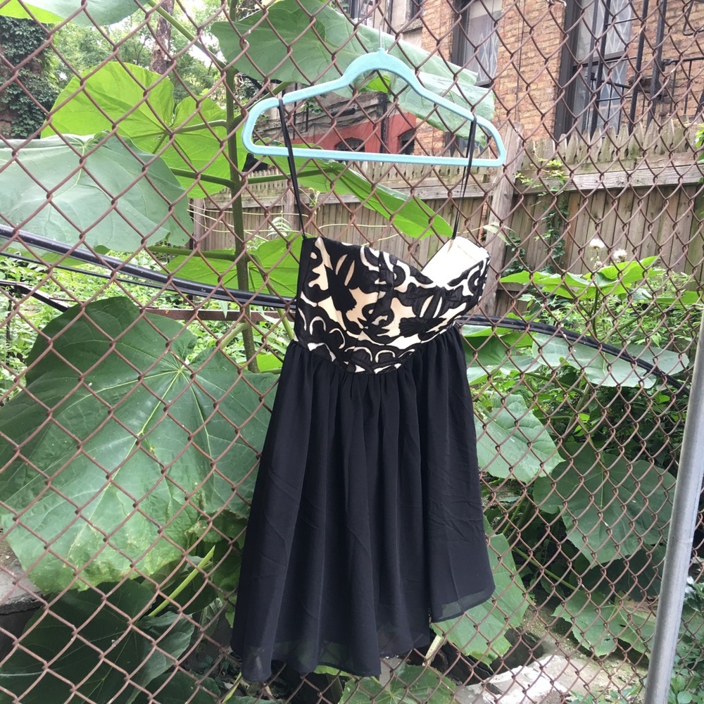 Steppin’ Out - Low Back Cocktail Dress 😽