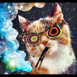 Meet your Posher, Aaron