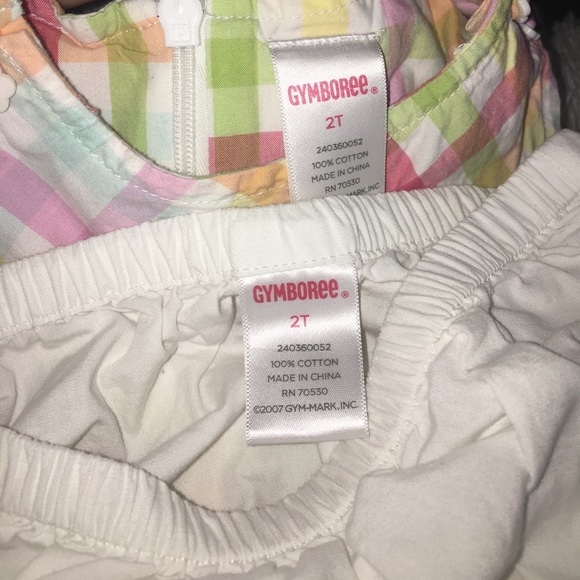 2T Gymboree dress w/matching panty - Picture 2 of 3