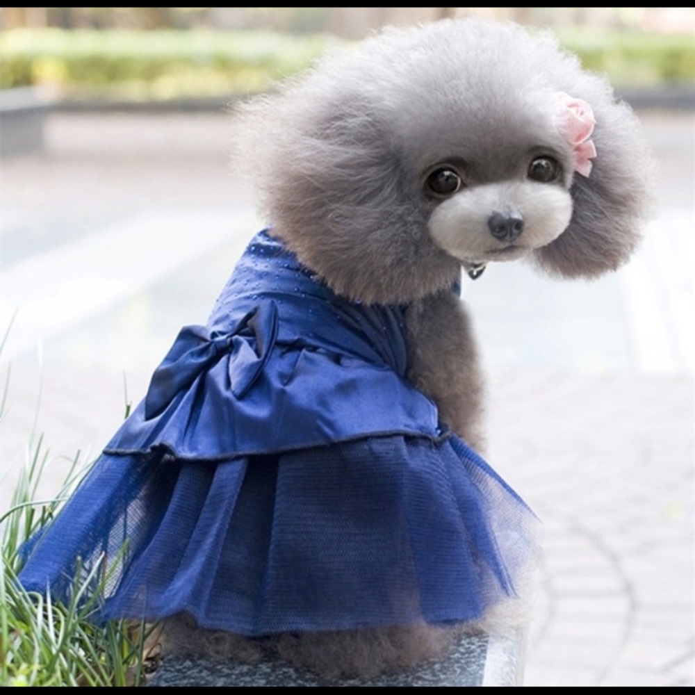 Dog dress