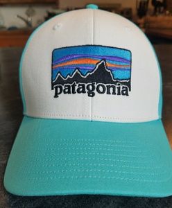 NWOT Patagonia Trucker Hat!
