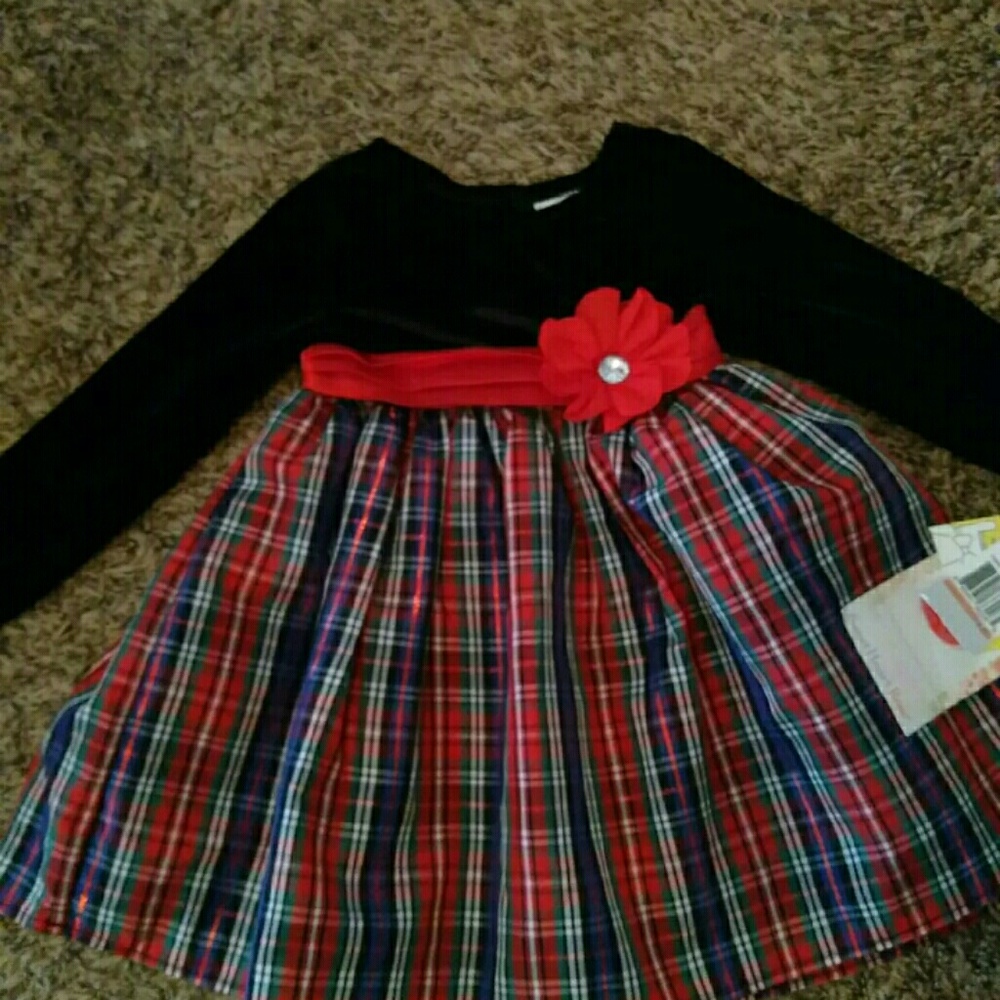 Beautiful toddler dress! NWT!