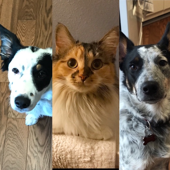 Hello Beautiful Soul!🌞 - Picture 2 of 8