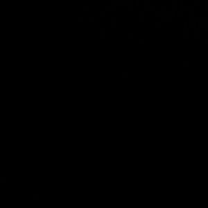 Meet your Posher, Tyreesia