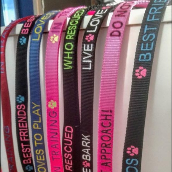 Personalized name &phone number collars & leashes - Picture 7 of 8
