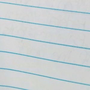 Meet your Posher, Max