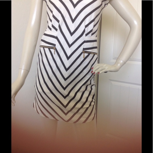 Ark & Co Dress! Shop & Help 2 Shelters - Picture 4 of 8