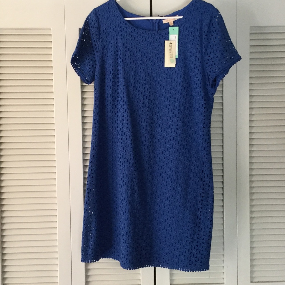 NWT Gorgeous Blue Eyelet Shift Dress Stitch Fix