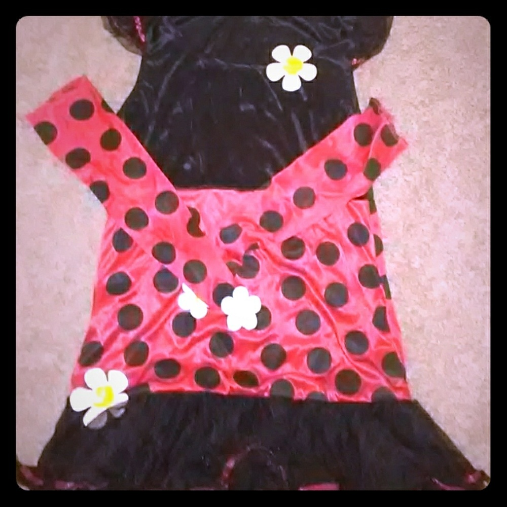 A lady bug costume