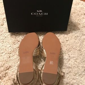 Coach Summers Flat Sandals