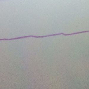 Meet your Posher, Paras