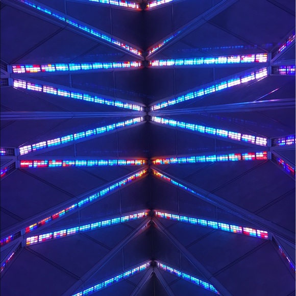 Meet your Posher, Lizzie - Picture 1 of 1