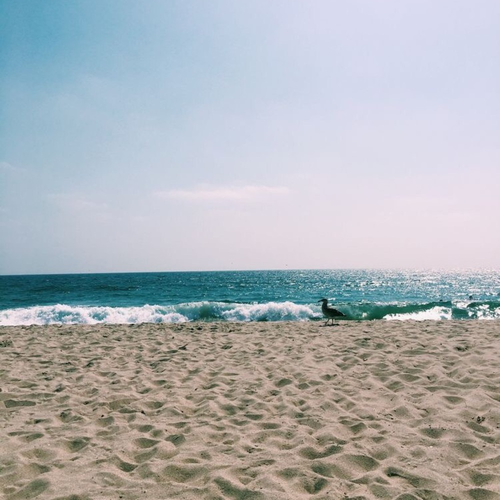 Meet your Posher, Kimbree