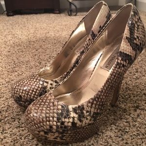 Steve Madden Snake Print Heels