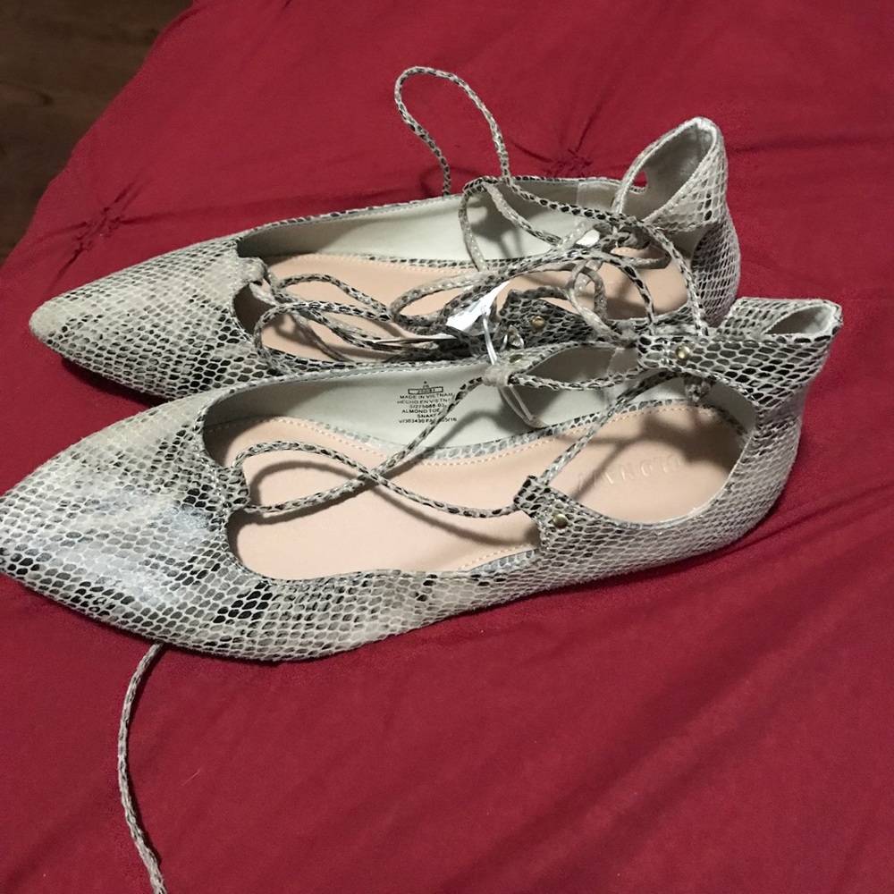 Flats - Picture 3 of 3