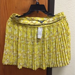 Brand New Mini Skirt