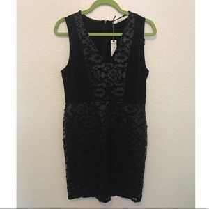 Little black dress for graduation or holidays!