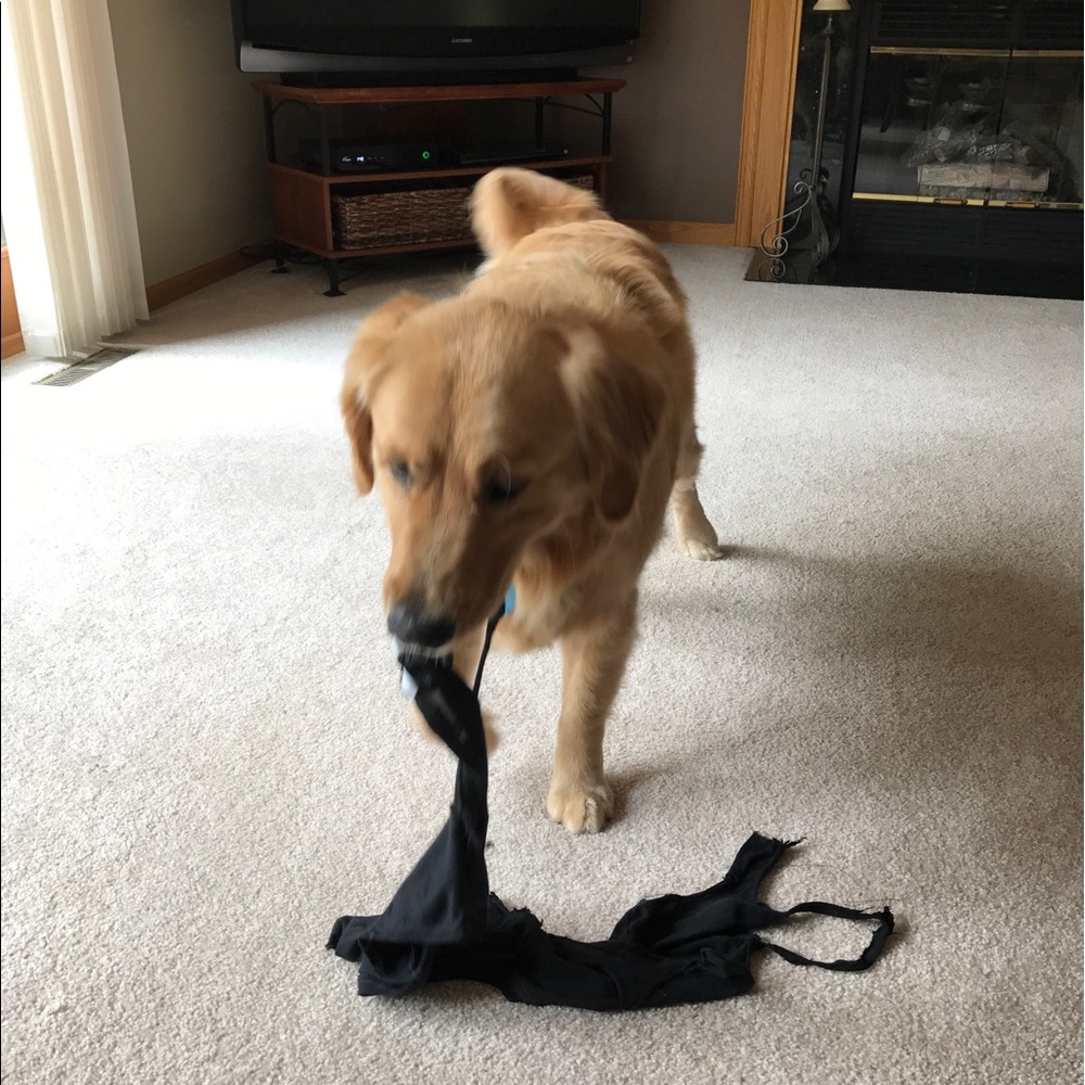 Meet your Posher, Christina