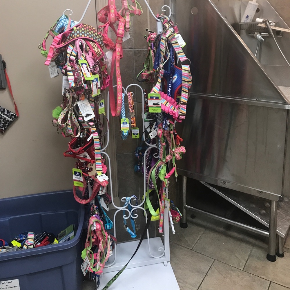 Harnesses leashes collars variety patterns/sizes