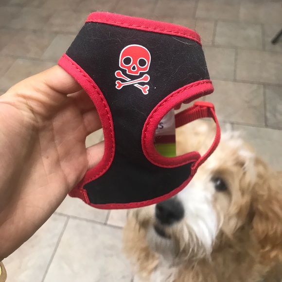 Harnesses leashes collars variety patterns/sizes - Picture 8 of 8