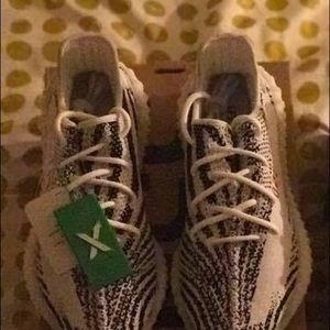 Zebras size 12