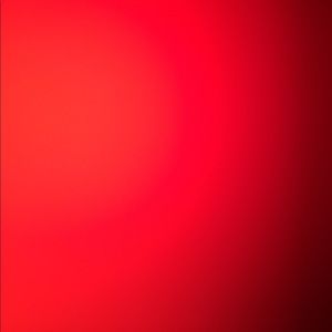 Meet your Posher, Bruce