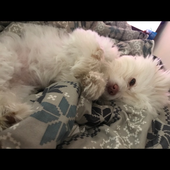 Meet your Posher, Amanda - Picture 2 of 8