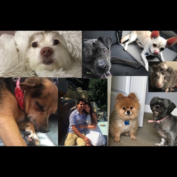 Meet your Posher, Amanda - Picture 3 of 8